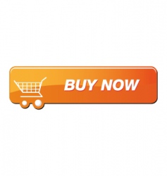 Buy now button vector image