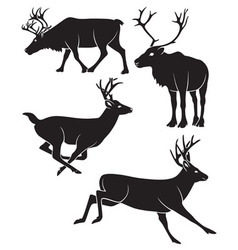 Deer vector image