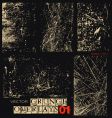 Grunge texture vector image