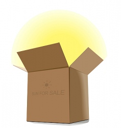 Gift sun for sale vector image