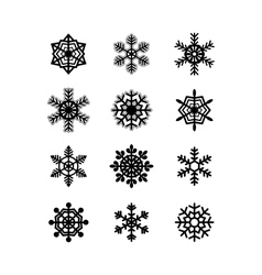 Snowflakes collection vector image