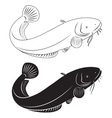Catfish vector image