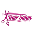 Hair Salon design - haircut or hair salon symbol vector image