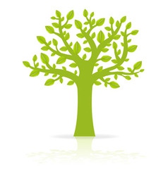 Green eco tree vector image