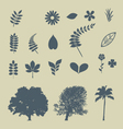Leaves and Trees vector image