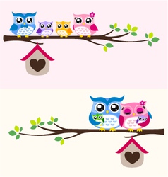 Owl family vector image