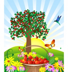 Apple basket vector image