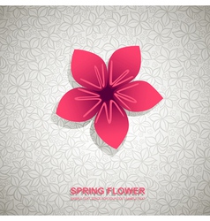Spring Flower Background vector image