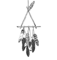 Native American Indian Dreamcatcher with feathers vector image