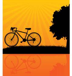 Bicycle orange vector image