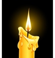 Fire of burning wax candle vector image