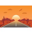 Sunset road in Mexican desert vector image