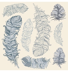 Feather Set vector image