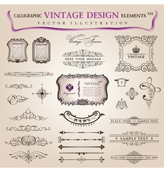 Classic calligraphic design vector image