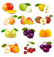 Group with different fruits Group with different fruits vector image