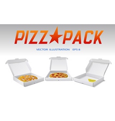 Pizza packaging vector image