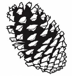 Pinecone vector image