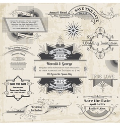 Wedding Vintage Invitation Collection vector image