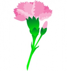 Flower vector image