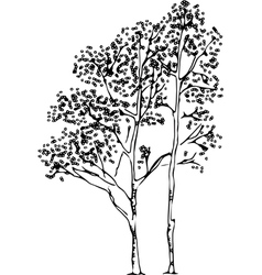 Download Tree silhouettes Royalty Free Vector Image - VectorStock