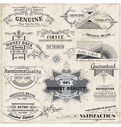 Set Calligraphic Design Elements vector image