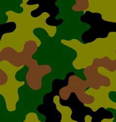 Camouflage vector image