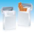 Cigarette pack vector image