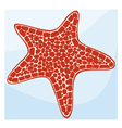 Starfish vector image