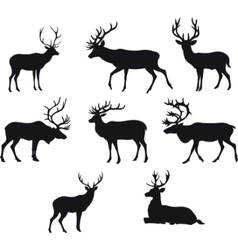 Deer silhouettes vector image