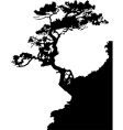 Tree on a rock vector image