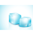 Two Blue Ice Cubes vector image