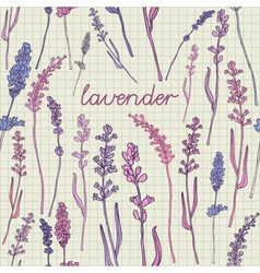 Lavender Pattern Background vector image