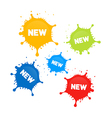 Colorful Stains Splashes With New Title vector image
