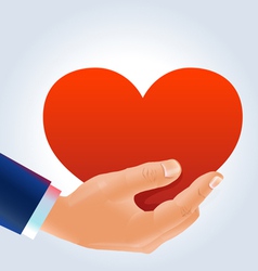 Male hand holding deep red heart vector image
