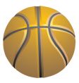 Basketball vector image