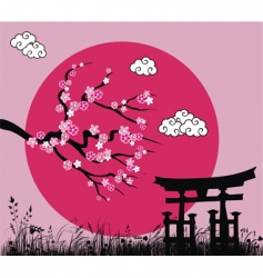 Japanese Sakura blossom vector image