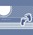 Baby boy announcement card vector image