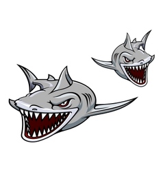 Gray shark mascot vector image