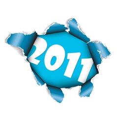 New years card 2011 vector image