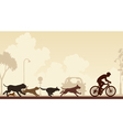 Dogs chasing cyclist vector image