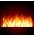Flame burn background vector image