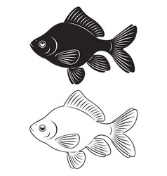 Goldfish vector image