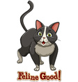 Feline vector image