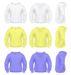 Mens Sweater with Hoodie vector image