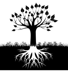 Tree roots silhouette vector image