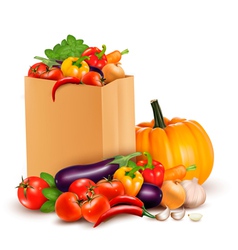 Background with fresh vegetables in paper bag vector image