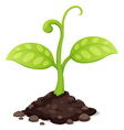 Plant vector image