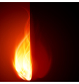 Abstract flame burning vector image