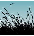 Reeds vector image