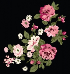Classic roses vector image